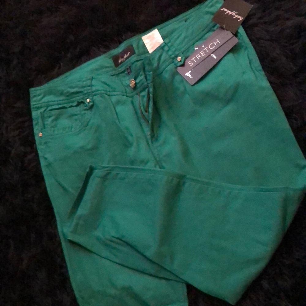 Baby phat pants size 18 with stretch,never worn from Macy’s